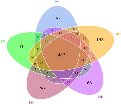 The effect of dietary supplementation of Lycium barbarum leaves on the growth performance, organ indexes and intestinal microflora of rats